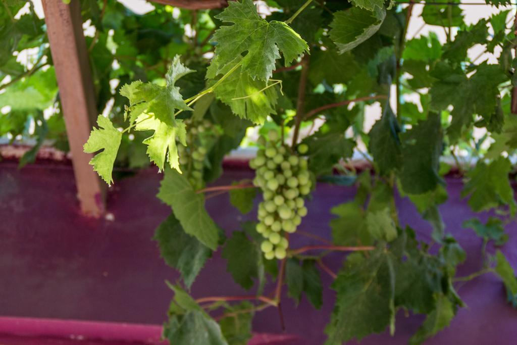 Ktima Anastasia Guest House Nafplio Exterior photo