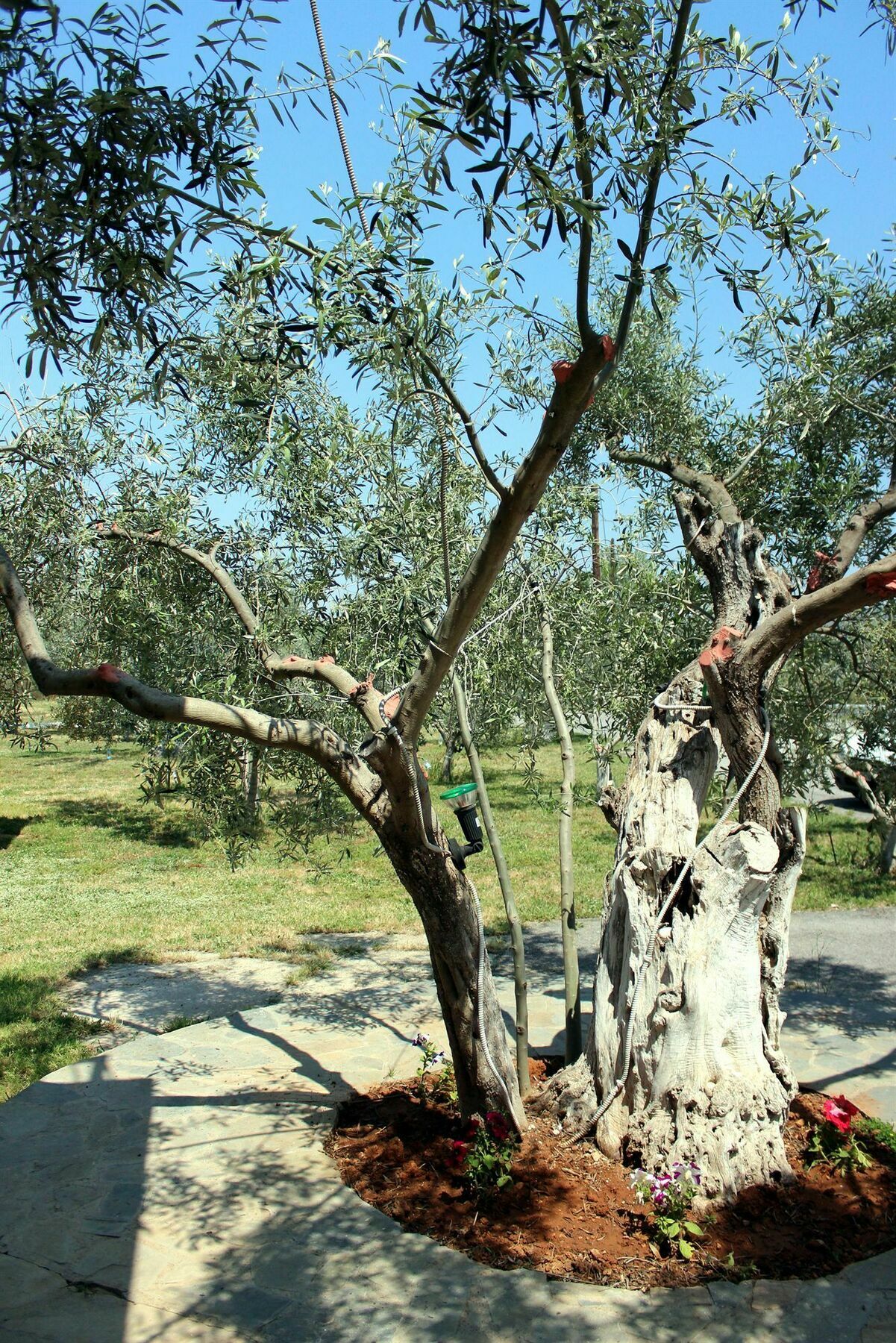 Ktima Anastasia Guest House Nafplio Exterior photo